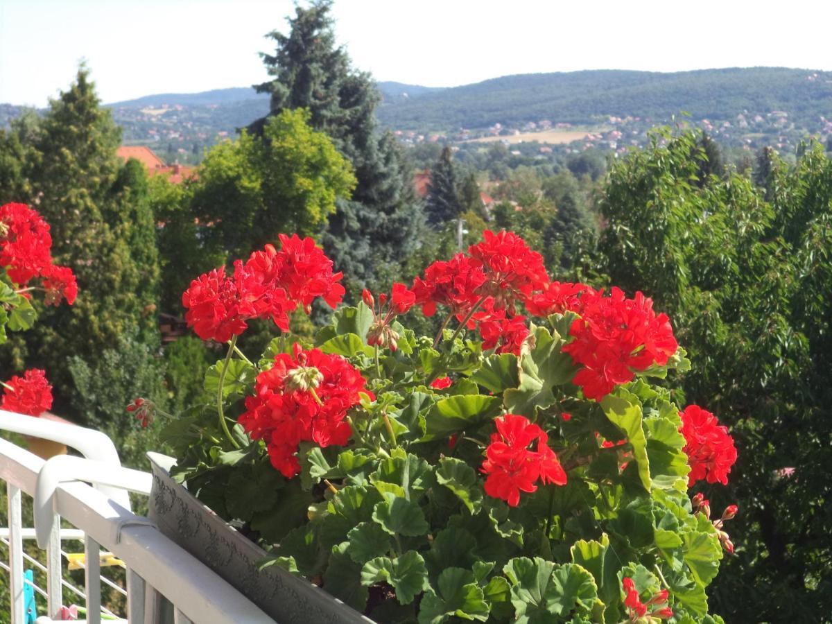 Maria Apartman Heviz Exterior foto